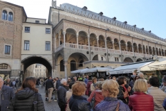 Padua market