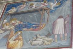 Scrovegni Chapel