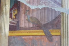 wall painting, Villa Poppea