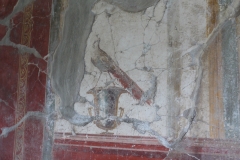 Painted bird, Villa Poppea