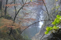 Near Škocjan Caves