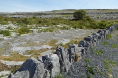 The Burren