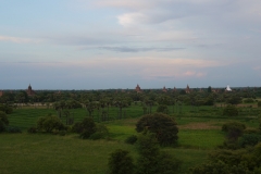 Lots of temples & pagodas, Bagan