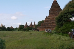 Convoy of tourists