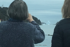 watching the iceberg near St. Lunaire-Griquet