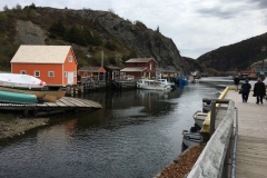 Quidi Vidi