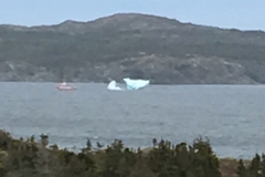 iceberg north of Twillingate