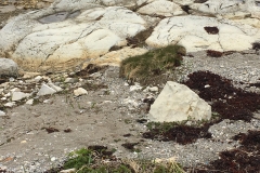 thrombolites neear Flower's Cove NF