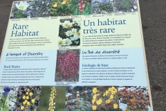 About the rare plants near Port au Choix