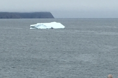 Iceberg near Cape Spear National Historic site