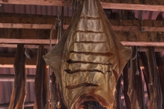 Drying fish, Kamøyvær