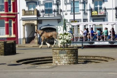 local transit, Isle of Man