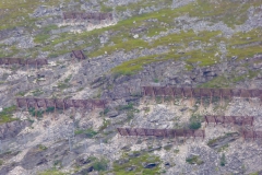 The town is fenced in against wandering reiindeer