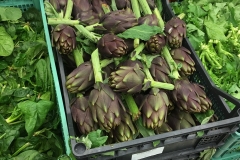 Artichoke season in Rome!