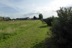 Footpath along the Appian Way