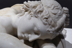 Close-up, Sleeping Aphrodite